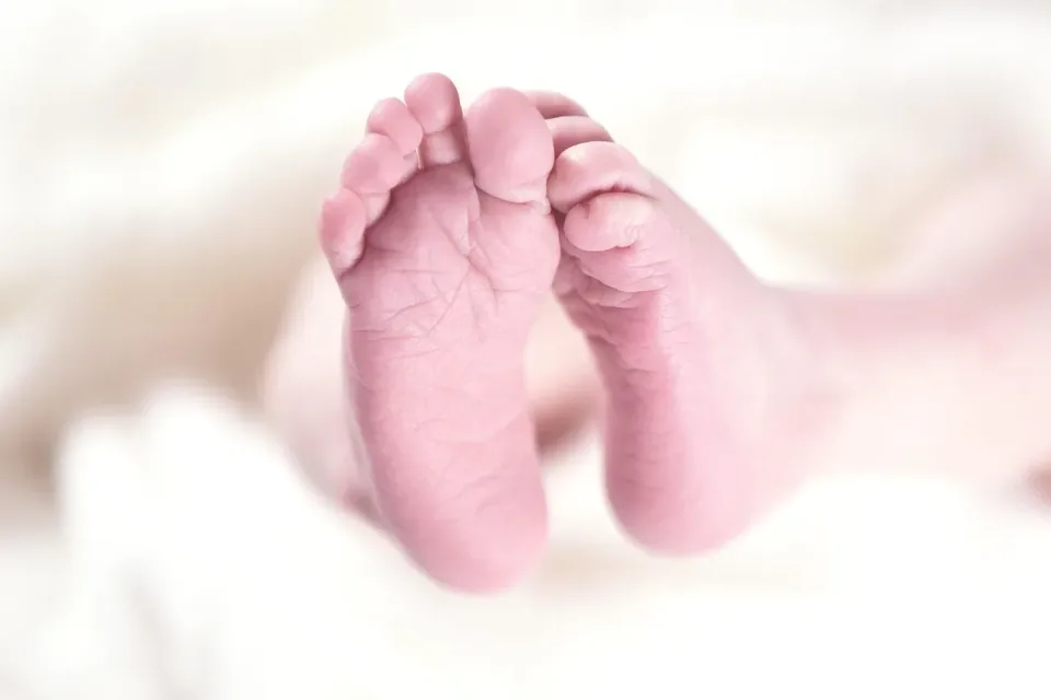 Baby Feet — Infant — Baby Feet, Infant Toes, Soft Blanket, Infant, Cheap Roll-off Dumpster Rentals