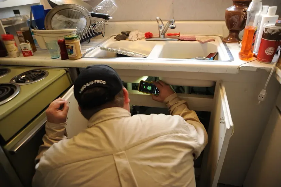 Pest Control Technician — Residential Service — Pest Control Technician, Baseball Cap, Smartphone, Pest Control, Pest Control
