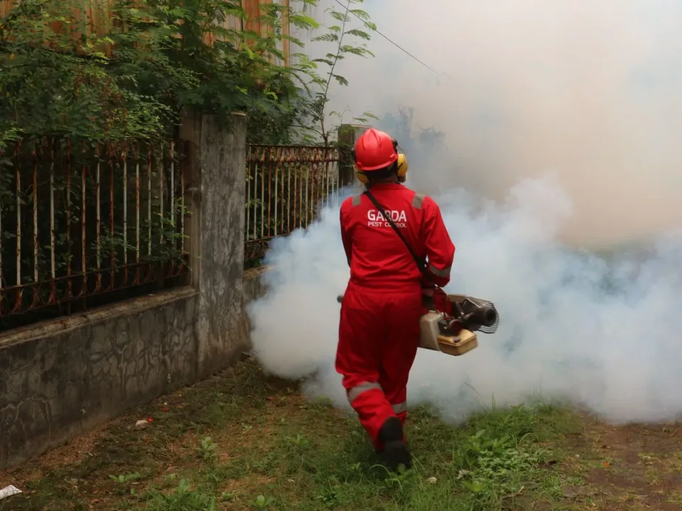 Pest Control Technician — Outdoor Service — Pest Control Technician, Fogging Machine, Hard Hat, Pest Control, Pest Control